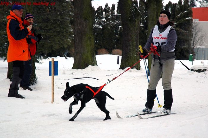 Turcianske_Teplice_2007_(4).jpg